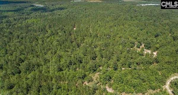 50 Acres of Recreational Land for Sale in Pelion, South Carolina