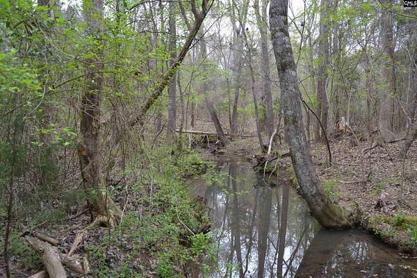 12.4 Acres of Land for Sale in Irmo, South Carolina