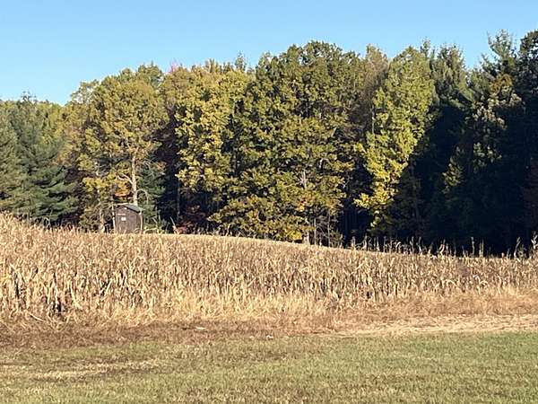 58 Acres of Land for Sale in Lakeview, Michigan