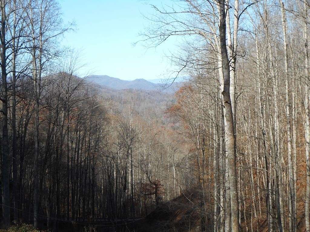 0.78 Acres of Land for Sale in Franklin, North Carolina