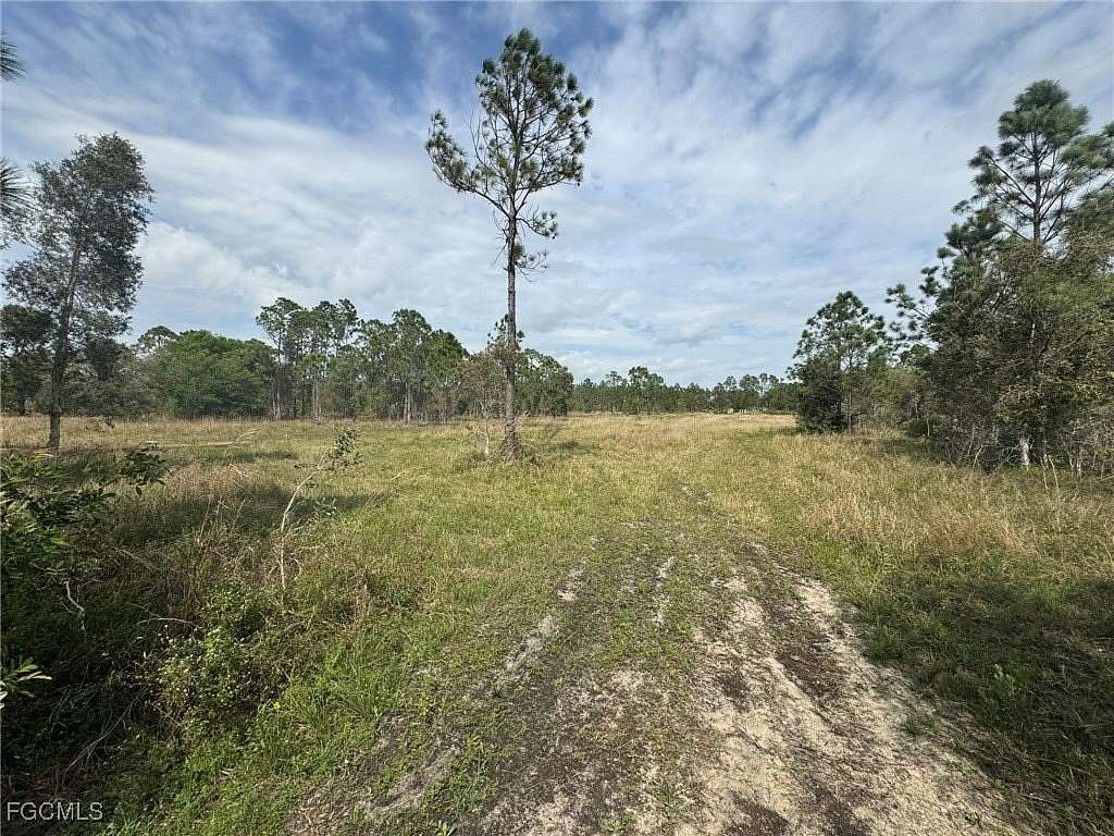 10 Acres of Agricultural Land for Sale in Punta Gorda, Florida