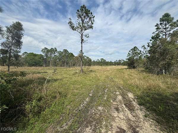 10 Acres of Agricultural Land for Sale in Punta Gorda, Florida