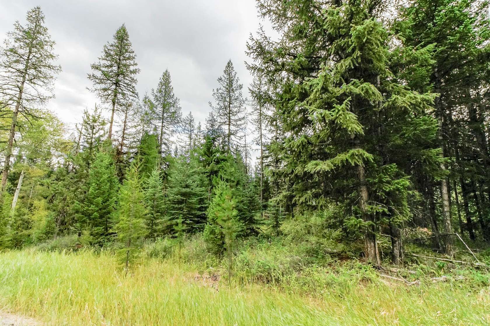 5 Acres of Residential Land for Sale in Kila, Montana