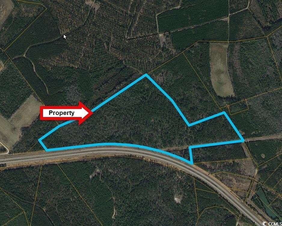82.4 Acres of Land for Sale in Conway, South Carolina