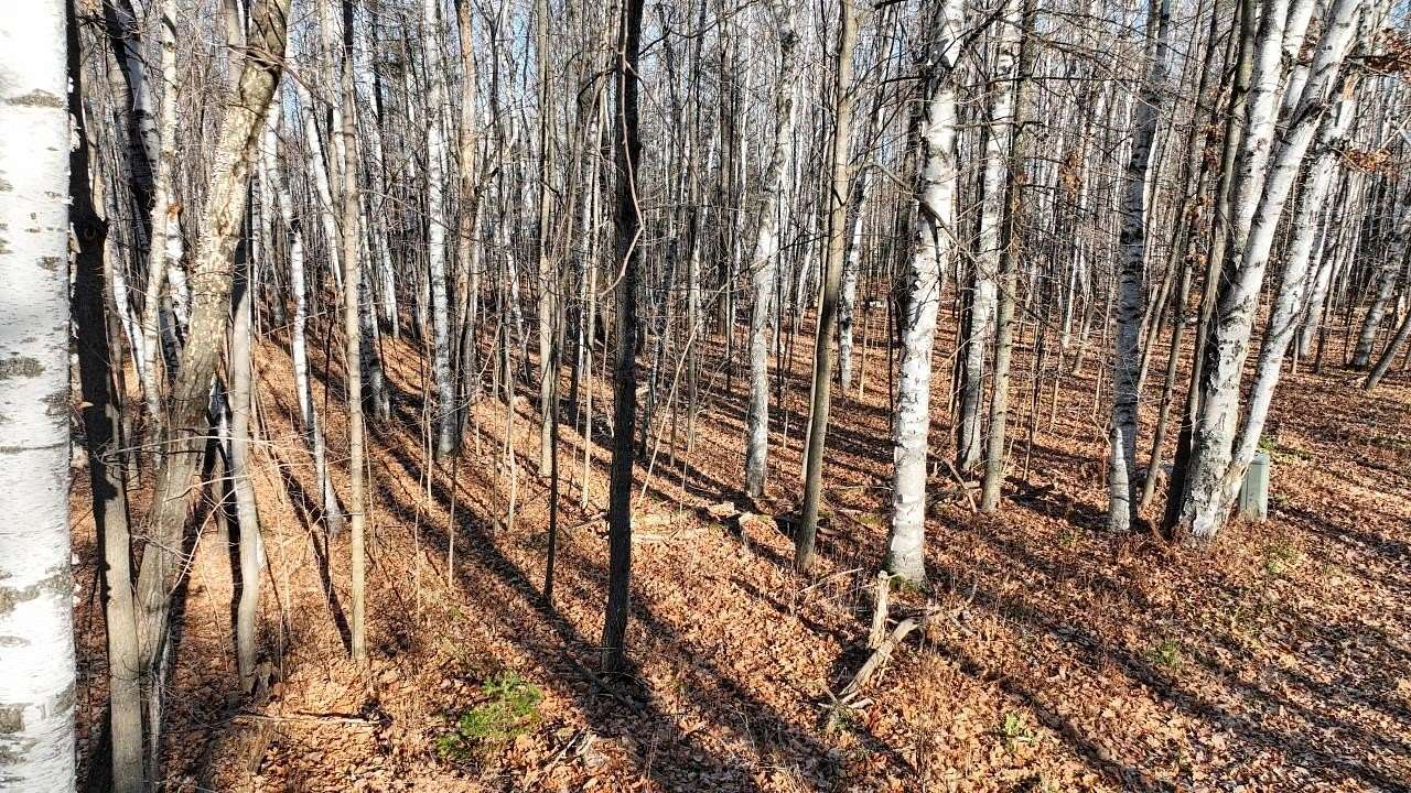 1.25 Acres of Land for Sale in Three Lakes, Wisconsin