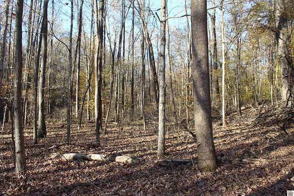 3.2 Acres of Land for Sale in Eddyville, Kentucky