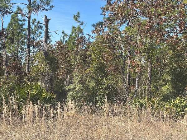 1.34 Acres of Land for Sale in Archer, Florida