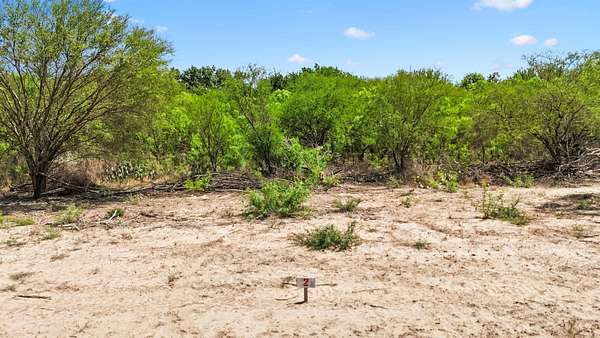 0.45 Acres of Residential Land for Sale in Del Rio, Texas