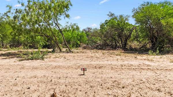 0.45 Acres of Residential Land for Sale in Del Rio, Texas