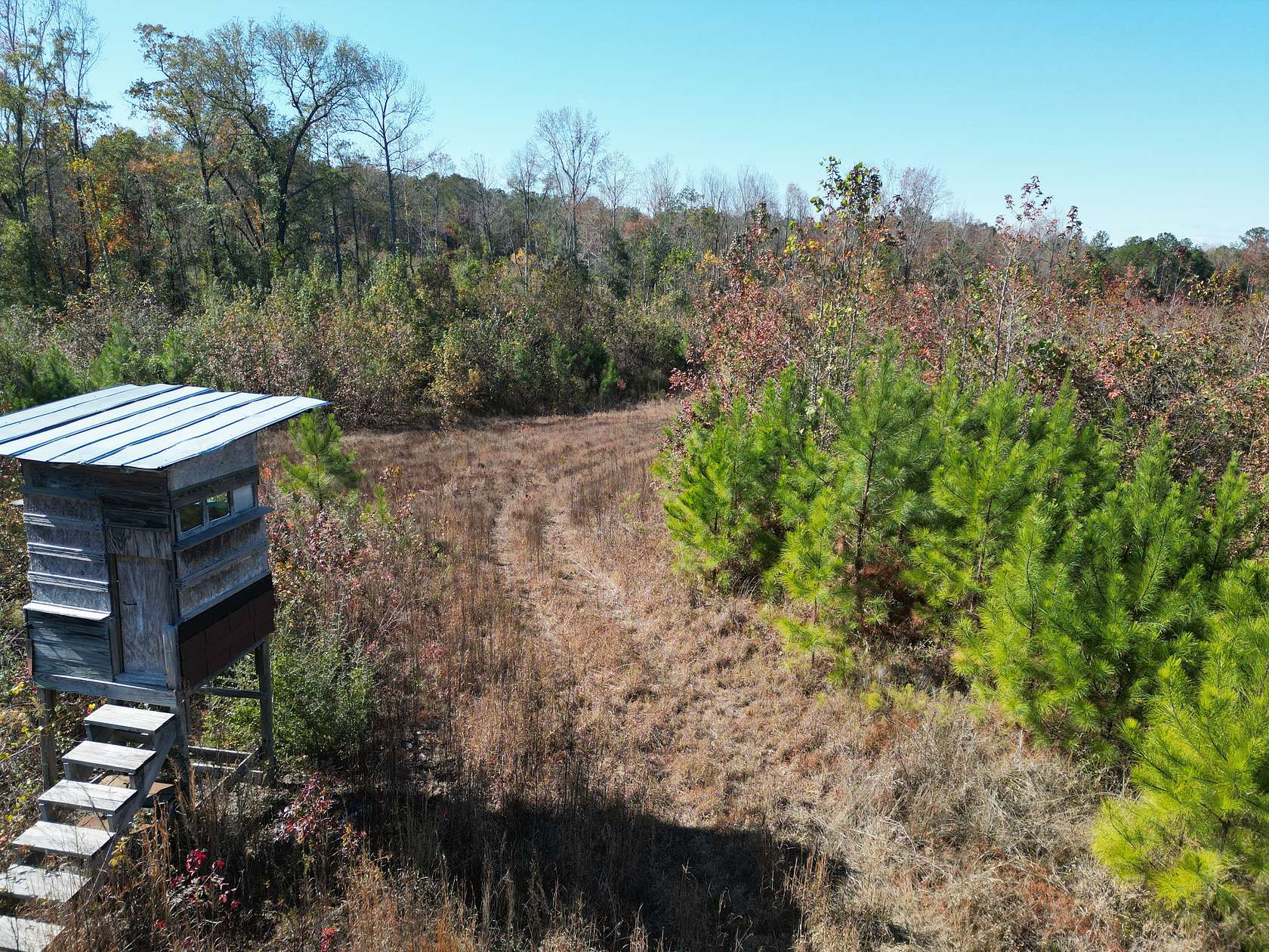 150 Acres of Land for Sale in Tuskegee, Alabama