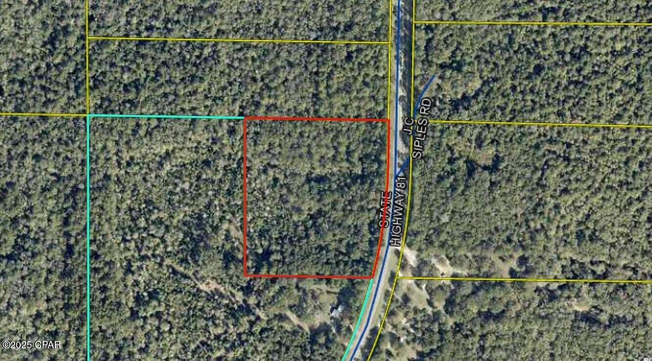 10 Acres of Land for Sale in Ponce de Leon, Florida
