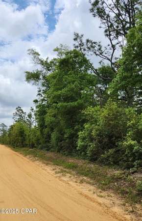 7.5 Acres of Land for Sale in Fountain, Florida