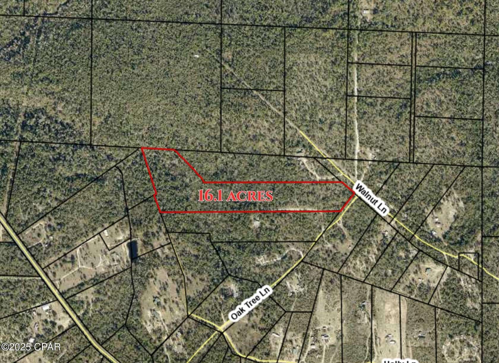16.1 Acres of Land for Sale in Fountain, Florida