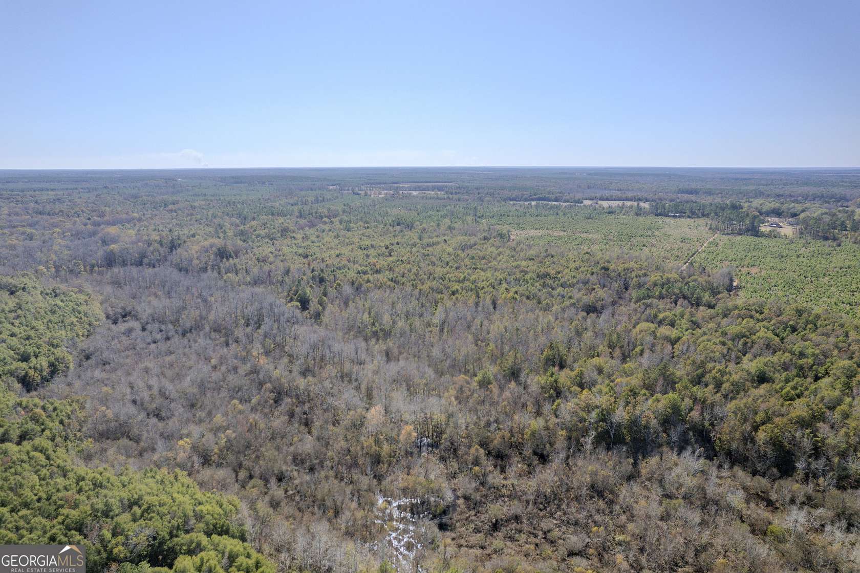 175 Acres of Recreational Land for Sale in Tennille, Georgia