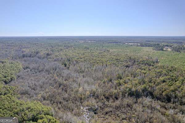 175 Acres of Recreational Land for Sale in Tennille, Georgia