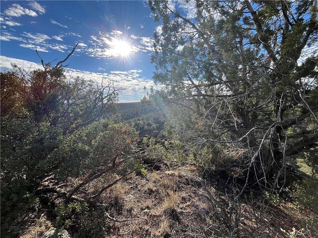 41 Acres of Land for Sale in Seligman, Arizona