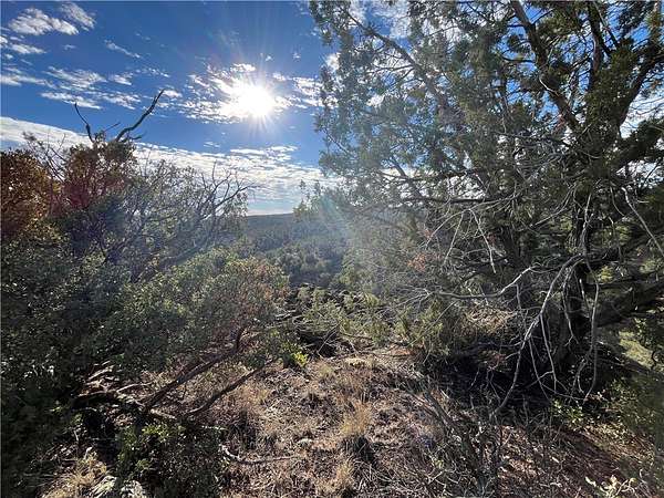 41 Acres of Land for Sale in Seligman, Arizona