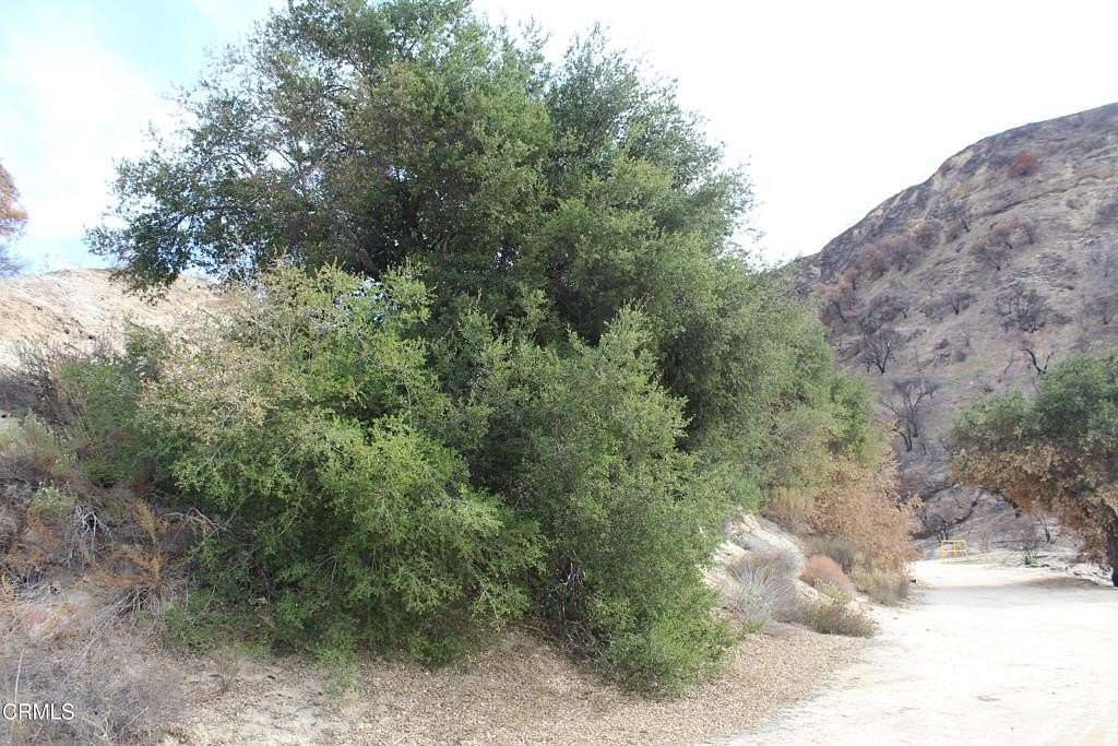 501 Acres of Agricultural Land for Sale in Castaic, California