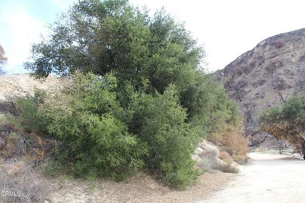 501 Acres of Agricultural Land for Sale in Castaic, California