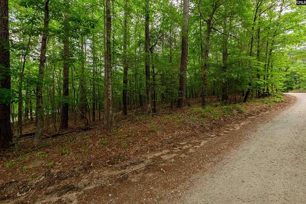 1 Acre of Residential Land for Sale in Ridgeway, South Carolina