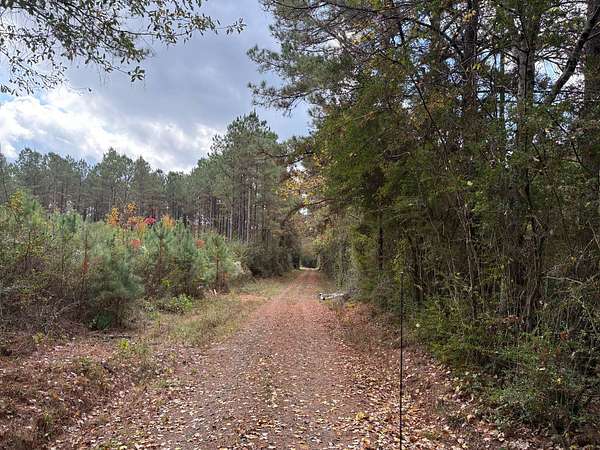 61.8 Acres of Recreational Land for Sale in Converse, Louisiana