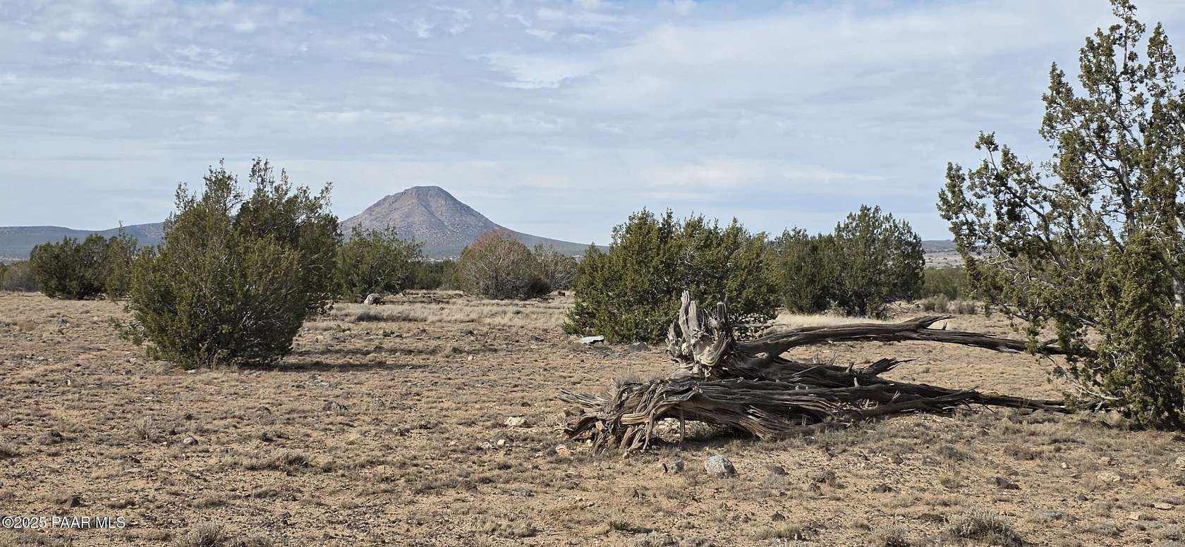 40.5 Acres of Land for Sale in Ash Fork, Arizona
