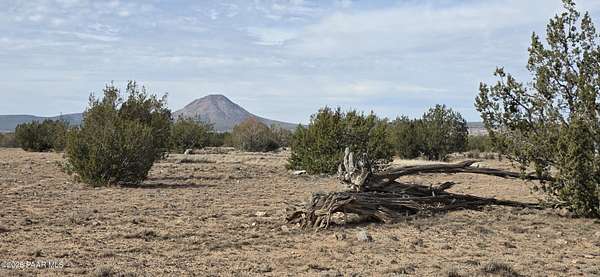 40.5 Acres of Land for Sale in Ash Fork, Arizona