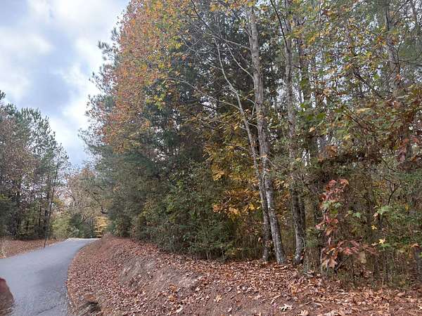 54 Acres of Land for Sale in Converse, Louisiana