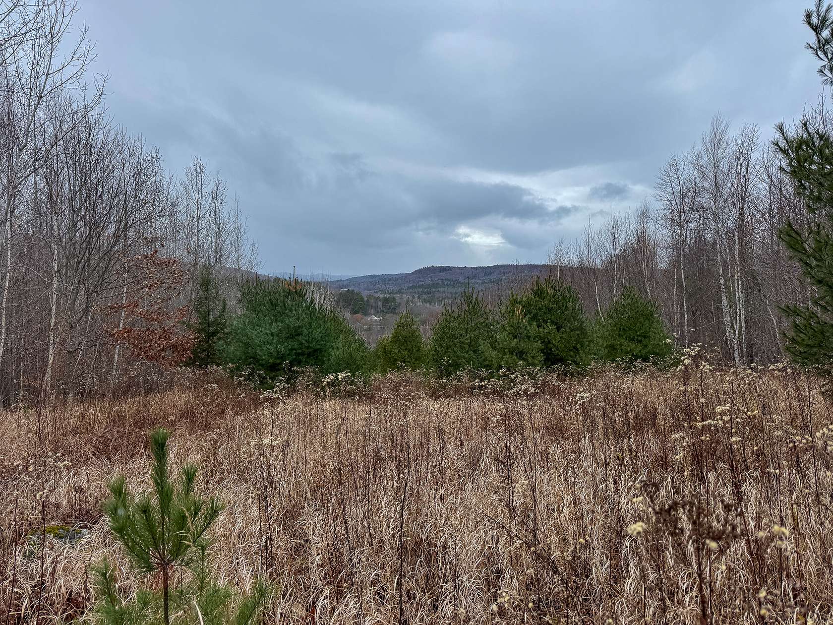 82 Acres of Recreational Land & Farm for Sale in Strong, Maine