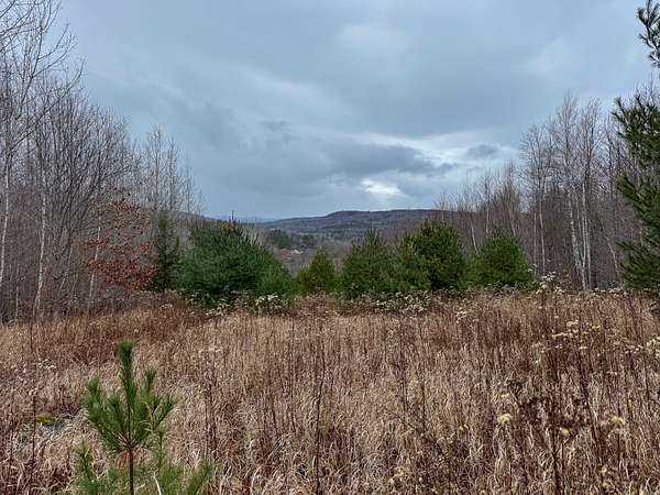 82 Acres of Recreational Land & Farm for Sale in Strong, Maine