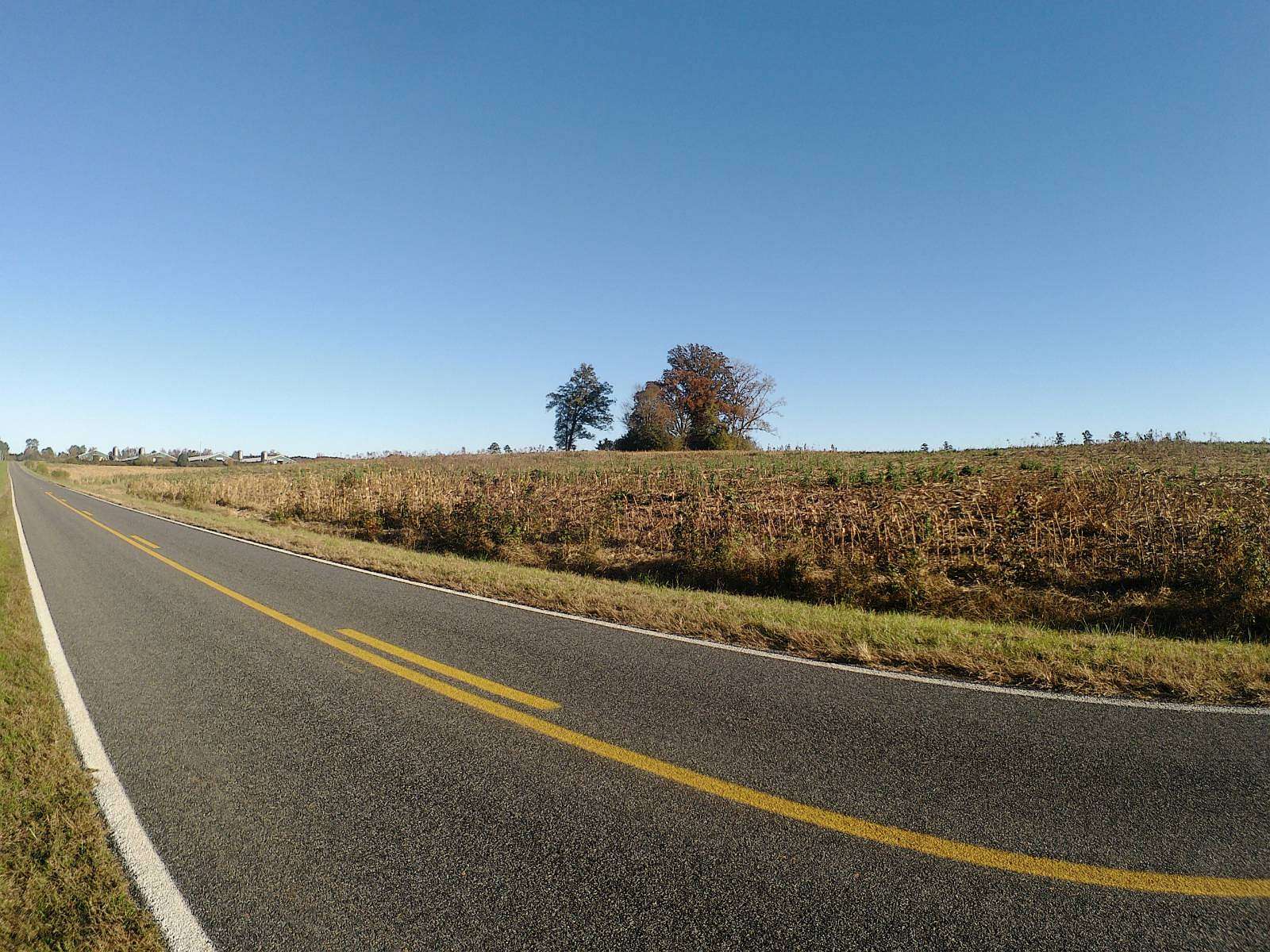 84 Acres of Land for Sale in Ellerbe, North Carolina