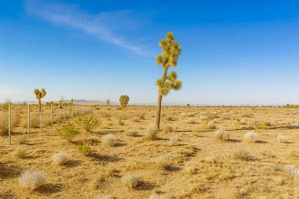 5 Acres of Land for Sale in Phelan, California