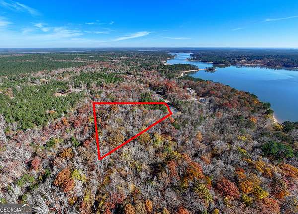 2.19 Acres of Residential Land for Sale in Tignall, Georgia