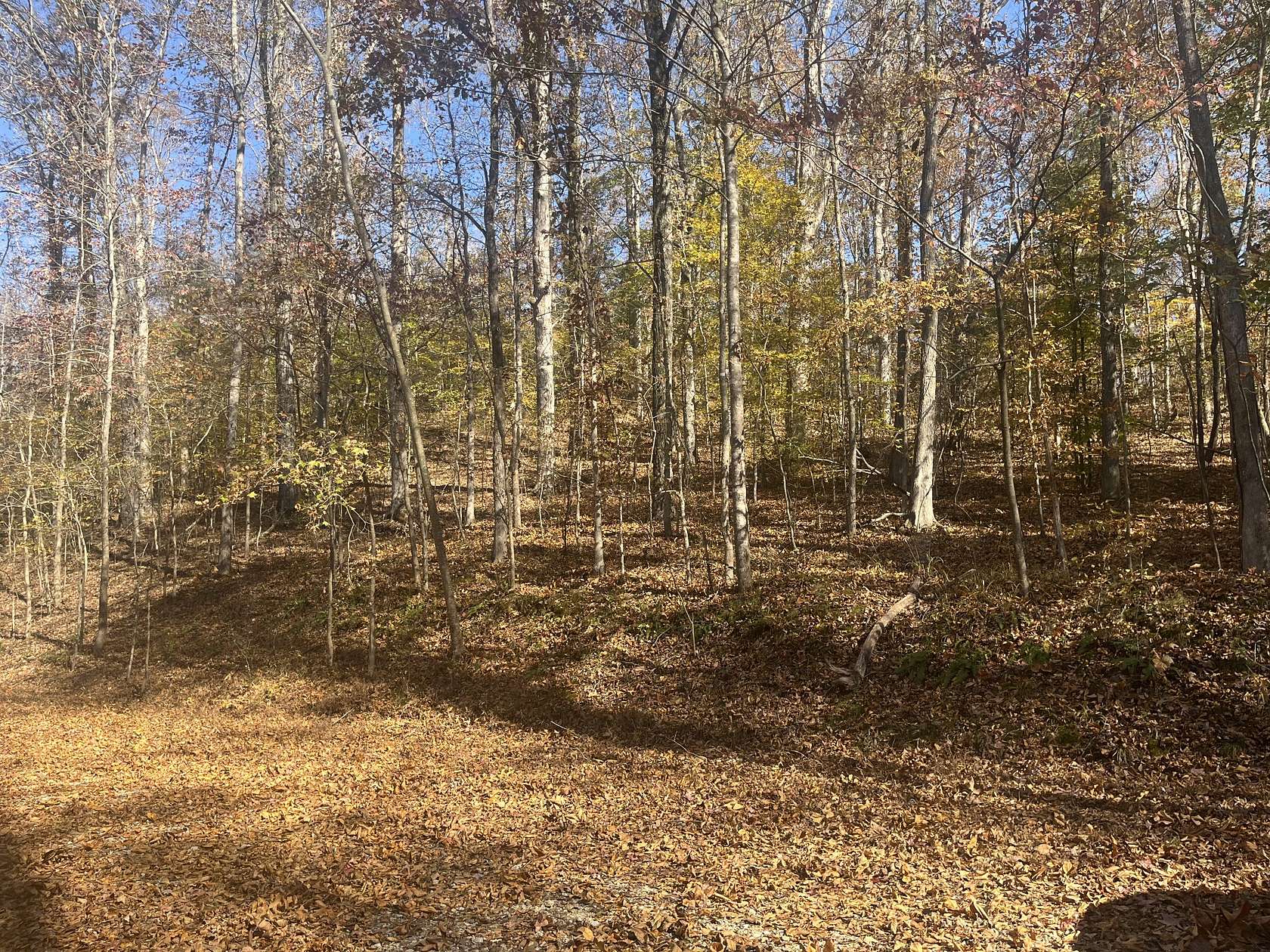 Residential Land for Sale in Parsons, Tennessee