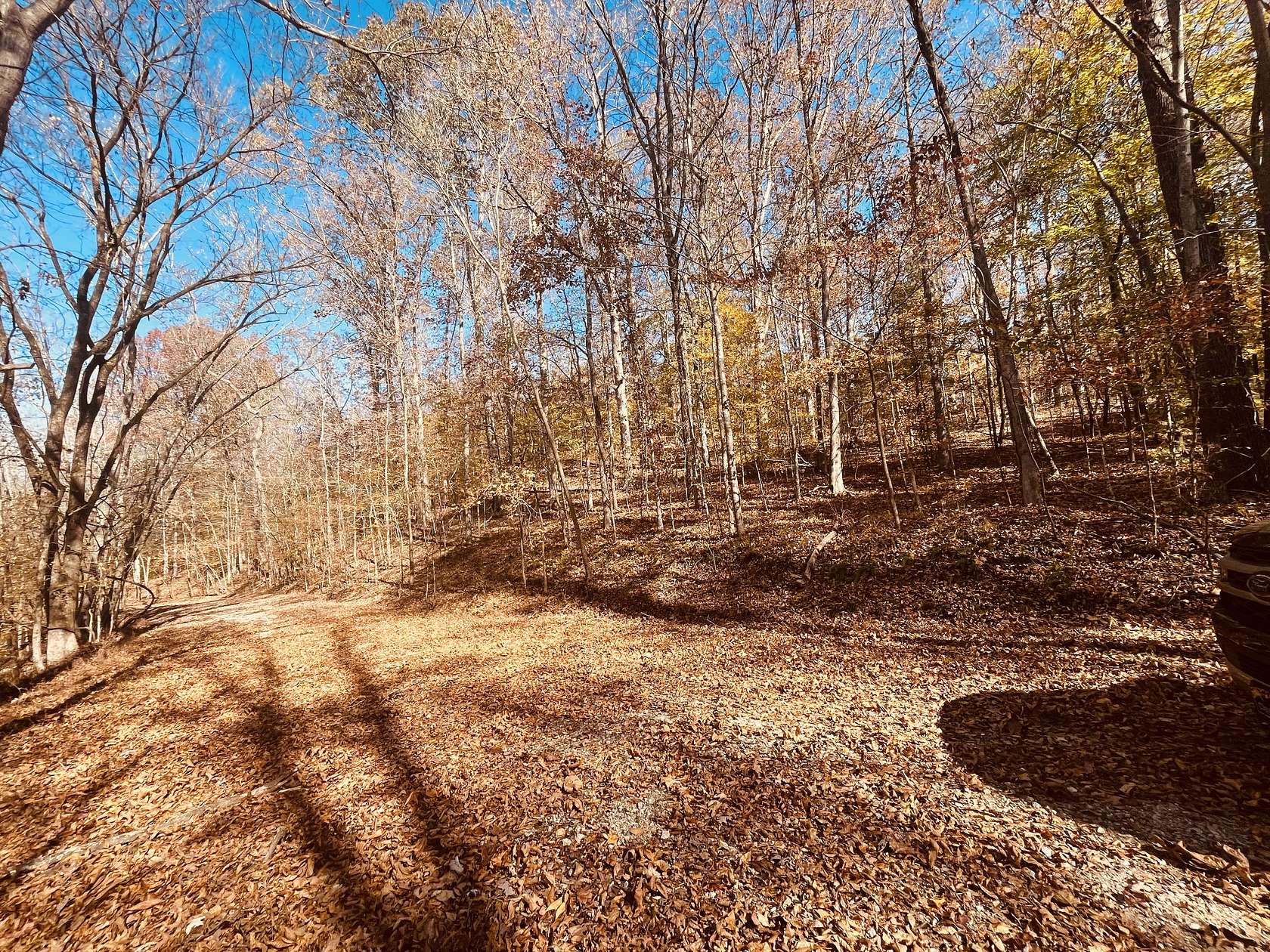 Residential Land for Sale in Parsons, Tennessee
