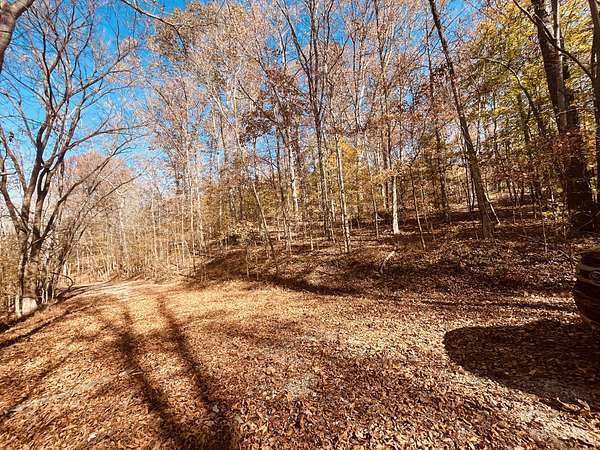 Residential Land for Sale in Parsons, Tennessee