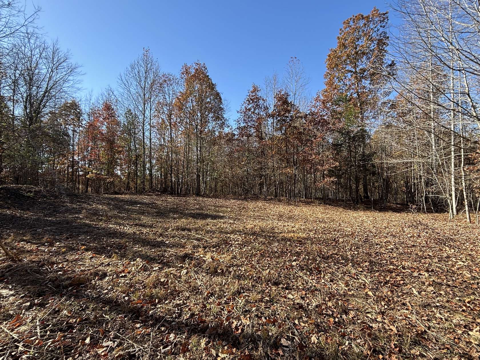 108 Acres of Land for Sale in Lutts, Tennessee