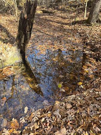 108 Acres of Land for Sale in Lutts, Tennessee