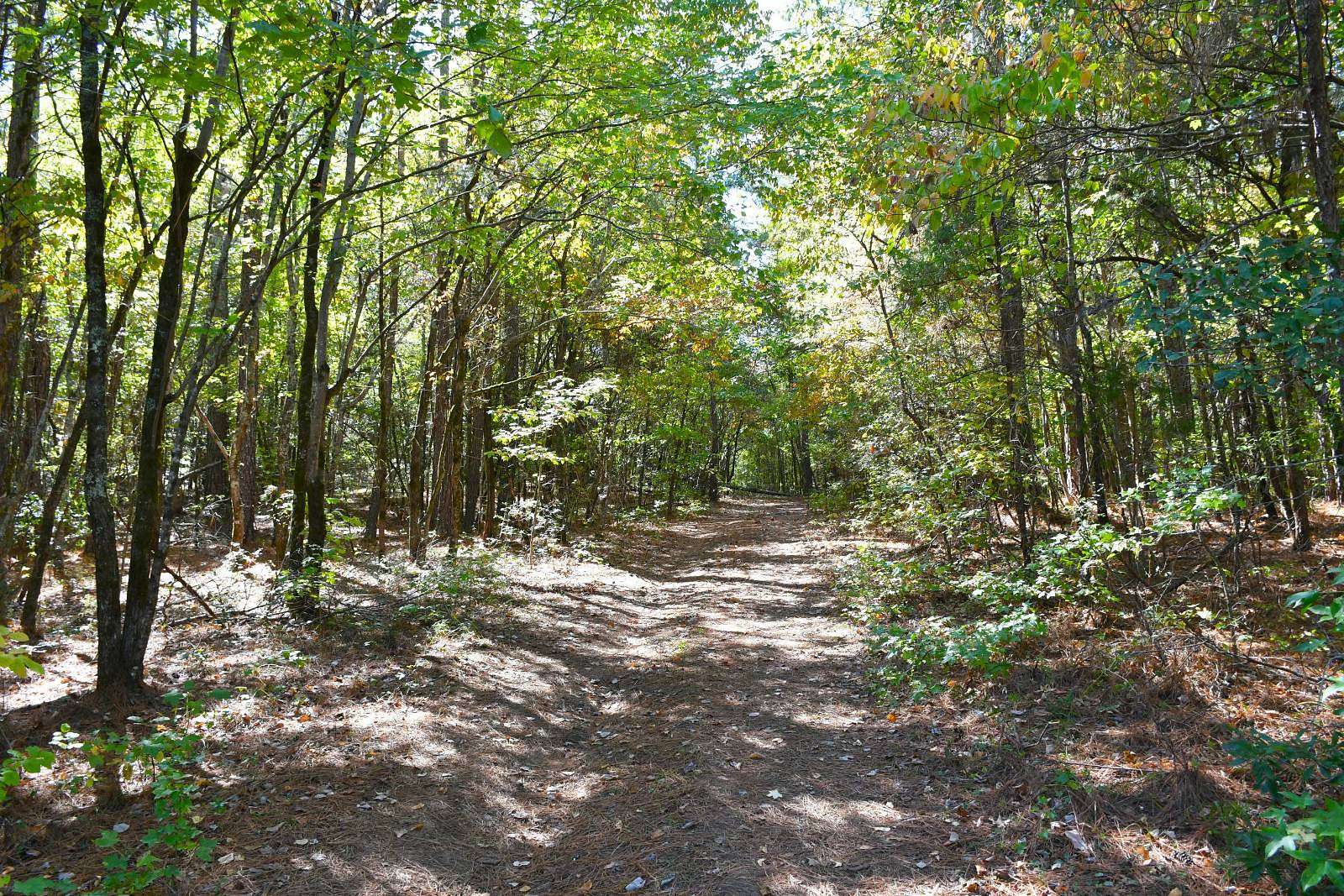 41 Acres of Land for Auction in Blythewood, South Carolina