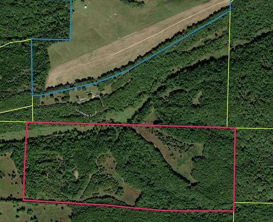 95 Acres of Land for Sale in Wasola, Missouri
