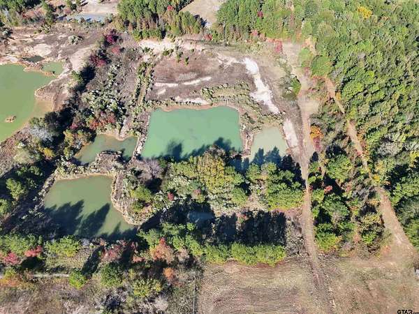 11.3 Acres of Recreational Land for Sale in Carthage, Texas