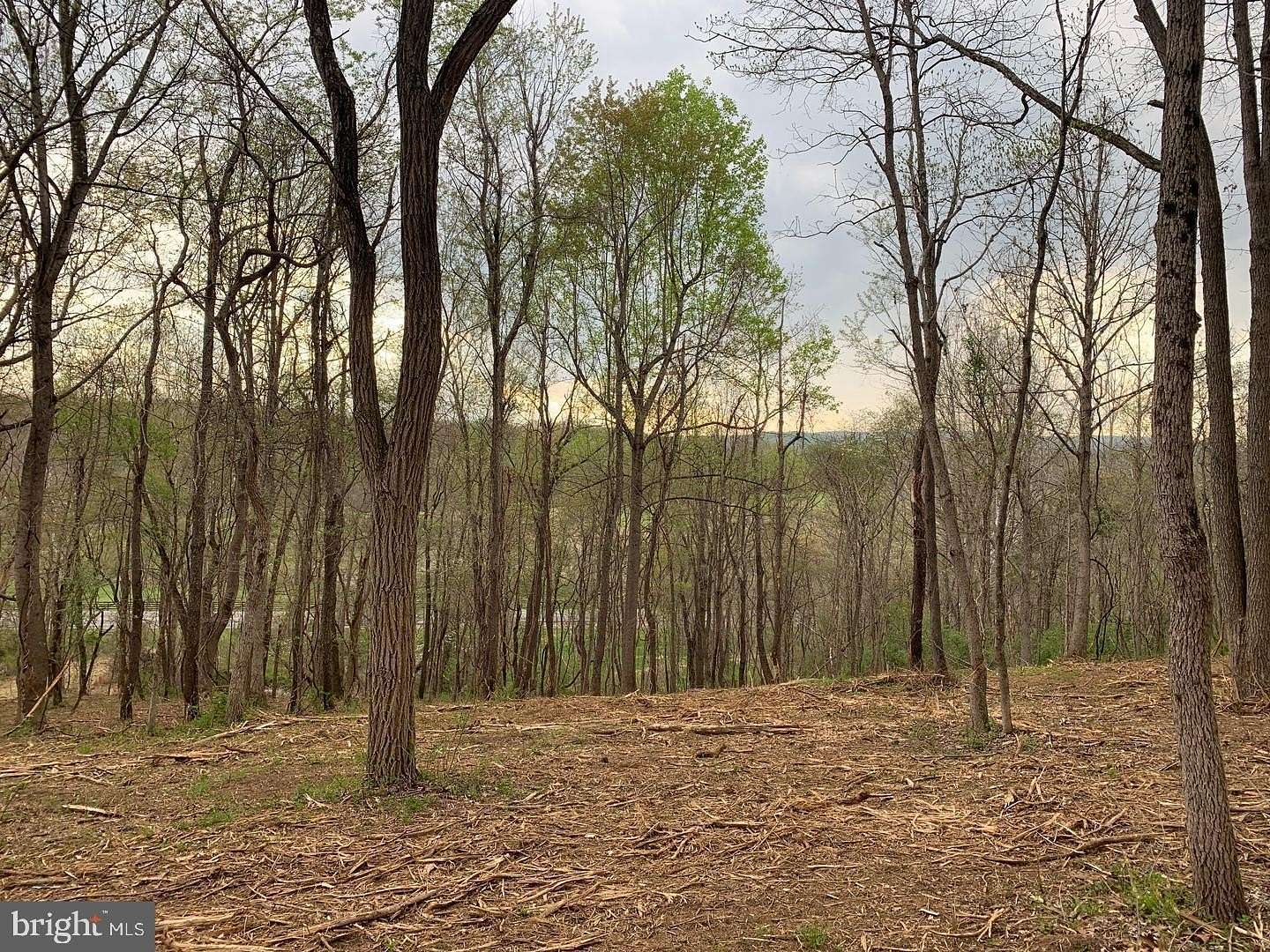 2 Acres of Residential Land for Sale in Delaplane, Virginia