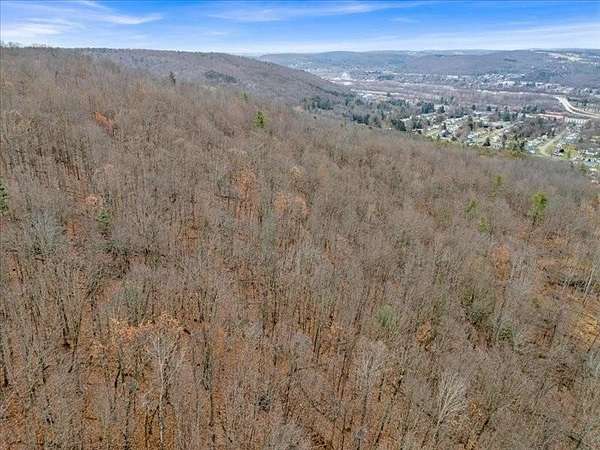 70 Acres of Recreational & Residential Land for Sale in Binghamton, New York