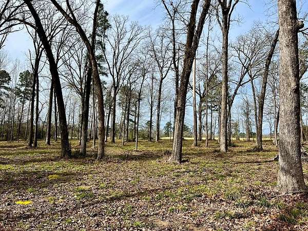 3.48 Acres of Residential Land for Sale in Diboll, Texas