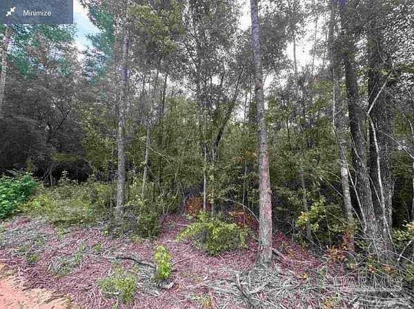 2.12 Acres of Residential Land for Sale in Milton, Florida