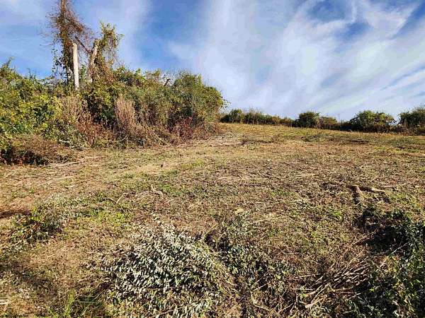 4.55 Acres of Residential Land for Sale in Lost Creek, West Virginia