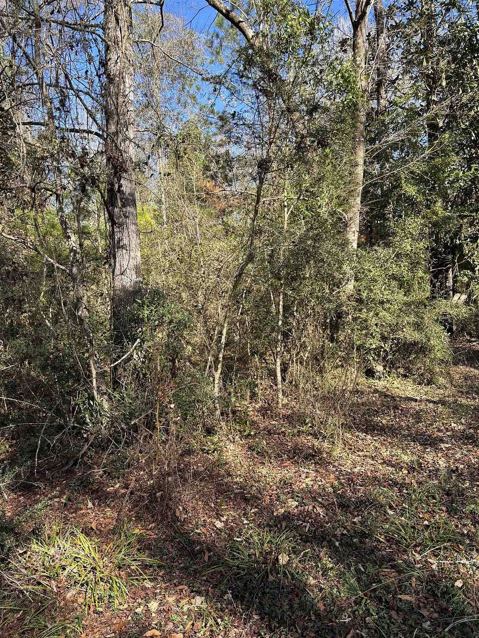 0.36 Acres of Residential Land for Sale in Crawfordville, Florida