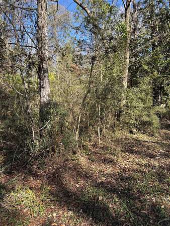 0.36 Acres of Residential Land for Sale in Crawfordville, Florida