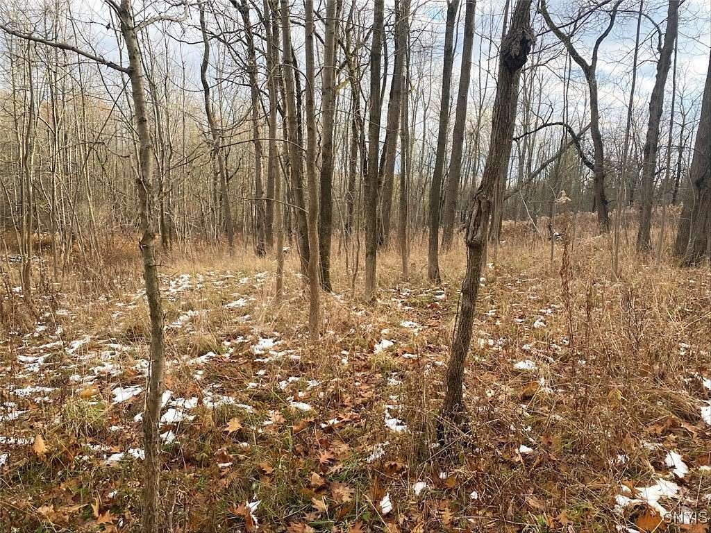 16.6 Acres of Recreational Land for Sale in Hunt, New York