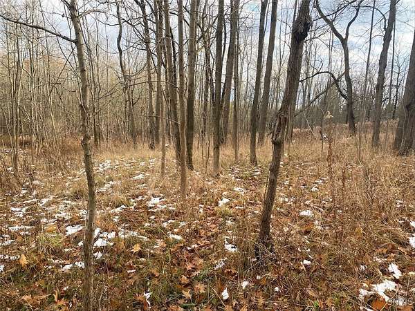 16.6 Acres of Recreational Land for Sale in Hunt, New York